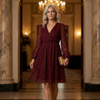 A-Line Mesh Long Sleeve Dress Red 2